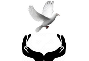 Chaithanya Psychotherapy & Counselling Centre Chaithanya Psychotherapy & Counselling Centre